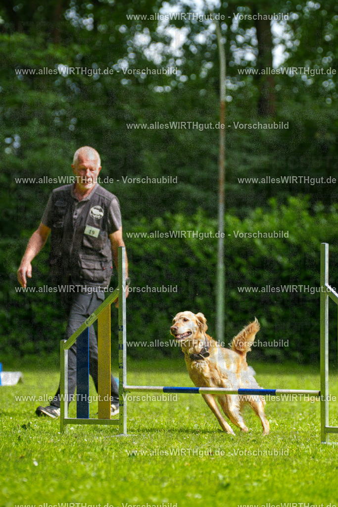 @allesWIRTHgut_Tierfotografie - www.allesWIRTHgut.de - 093134-7R507251 | Professionelle Tierfotografie in Mönchengladbach von Daniel Wirth (allesWIRTHgut). Liebevolle & natürliche Bilder von Hunden & Katzen für unvergessliche Erinnerungen.