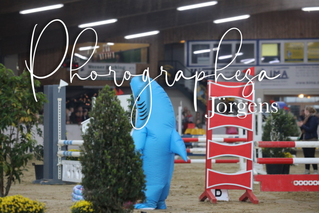 IMG_1886 | photographesa-joergens - Realisiert mit Pictrs.com