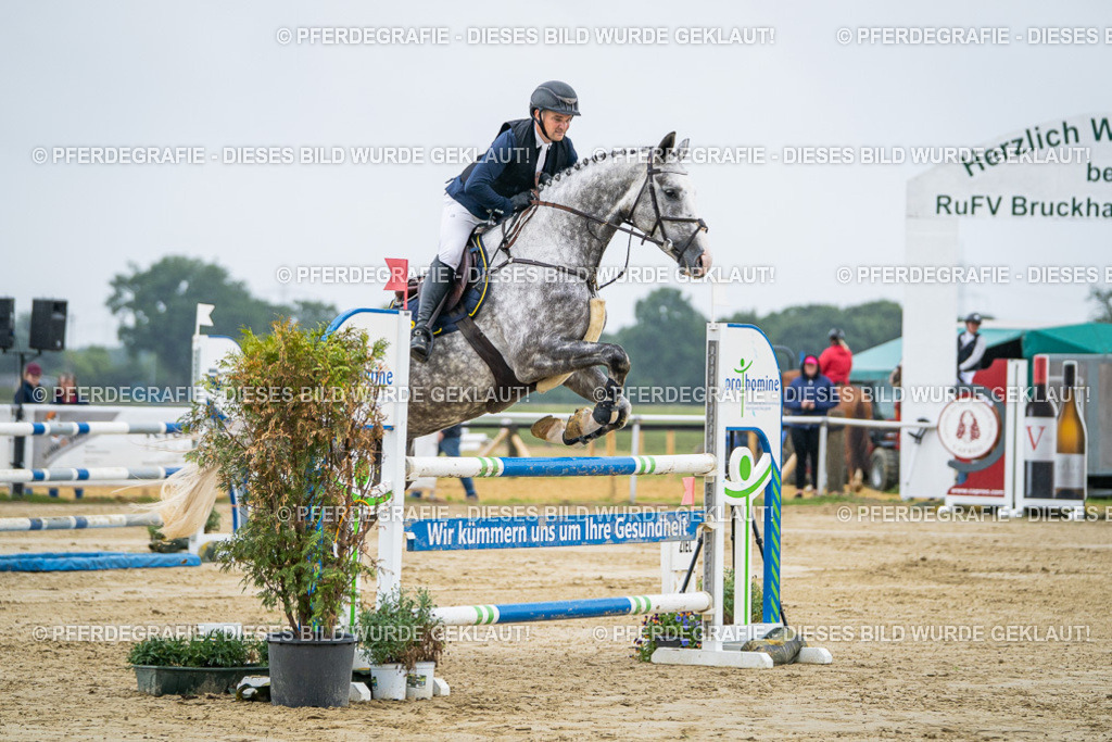 DSC02089 | Pferdegrafie