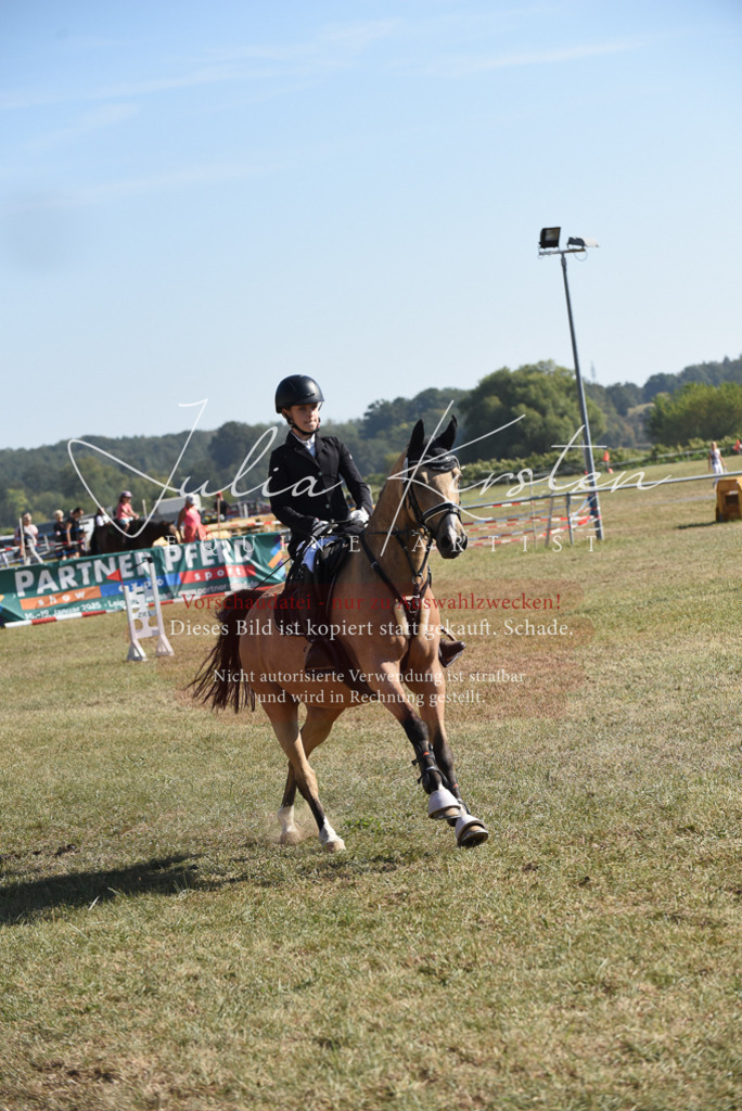DSC_6072 | Pferde- und Turnierfotografie in Westsachsen. Pferdeportraits, Auftragszeichnungen und intuitive Kunst.