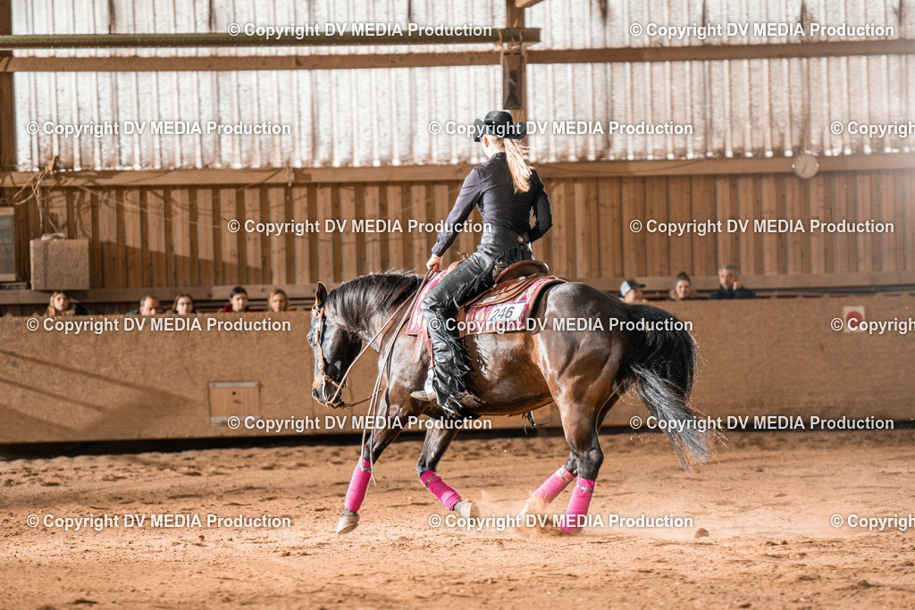 BA301193 | dv-media-shop - Realisiert mit Pictrs.com