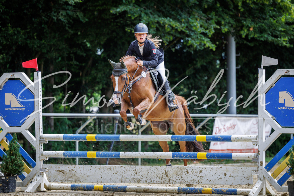 20260705-_3LI5437 | Tierfotografie Pferde, Hunde, Katzen, Haustiere.
Turnierfotografie Reitturniere, Reiten, Springreiten, Dressur in Hanau, dem Main-Kinzig-Kreis und dem Rhein-Main- Gebiet um Frankfurt