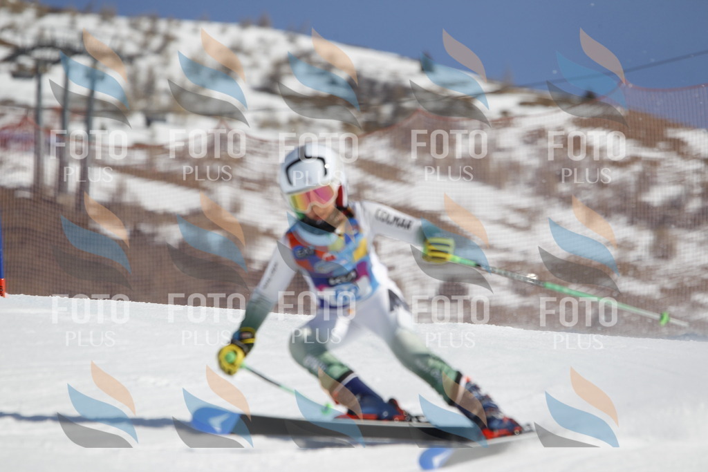 _U3G9652 | holidayphoto