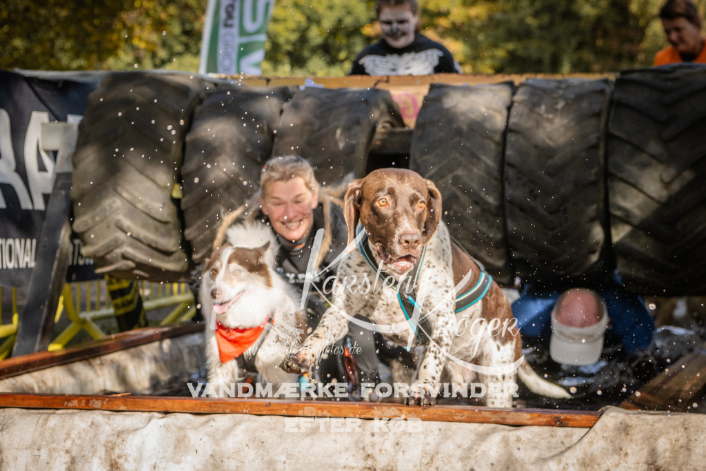 1151_ZZ93612 | kk-dogfotos