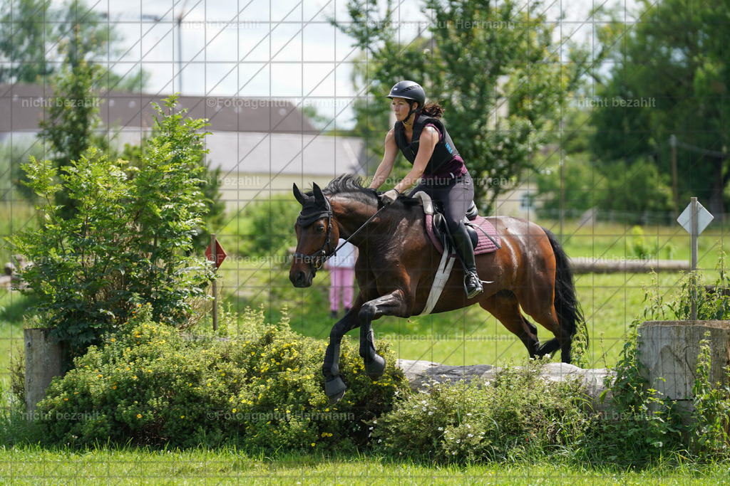 20240622-FAH07578 | Turnierfotografen Bayern, Reitsportbilder aus dem Geländekurs mit Felix Etzel auf dem Gut Waitzacker 2024