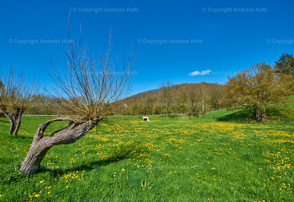 Im Triebischtal bei Neutanneberg 02 | Bedeutsame Landschaften Deutschlands - Realisiert mit Pictrs.com