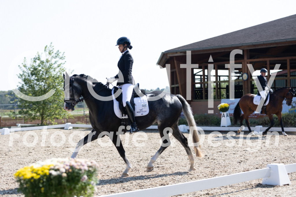 IMG_4459 | Creatify Fotografie