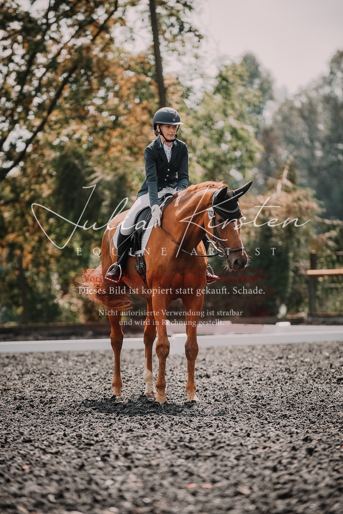 DSC_4129 | Pferde- und Turnierfotografie in Westsachsen. Pferdeportraits, Auftragszeichnungen und intuitive Kunst.