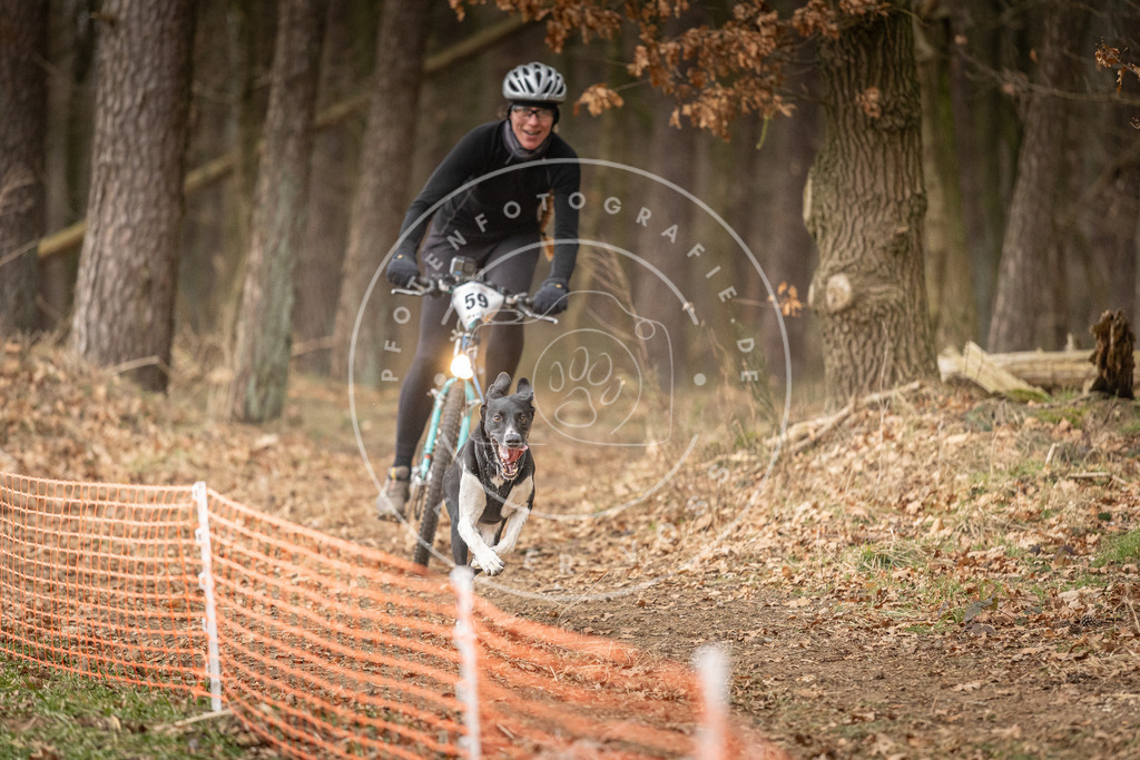 Pfotenfotografie_DV3A2980 | Hundefotografie, Tierfotograf, Pfotenfotografie, Fotoshooting Hund, Hunde Portrait, Hundesport, Hundeportraits, Heideshooting, Hunde, Sportfotograf, Hundefotograf, Turnierhundsport, THS,  - Realisiert mit Pictrs.com