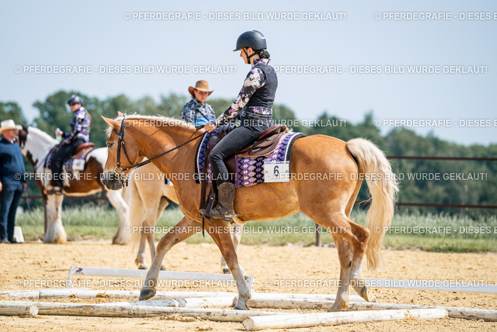 DSC00162 | Pferdegrafie