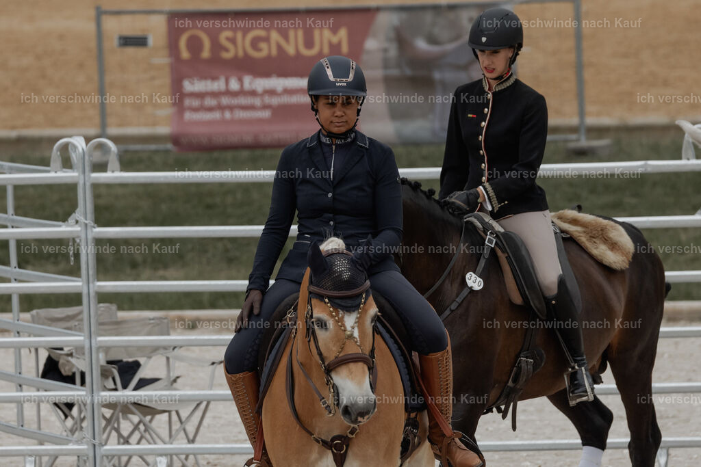 WE__Stoib_Rinder_PI2025_3000 | Pferd International München 2025