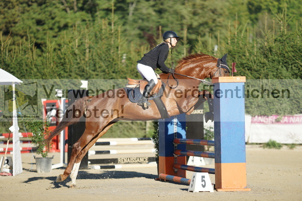 DSC08085 | equestrian-live-com