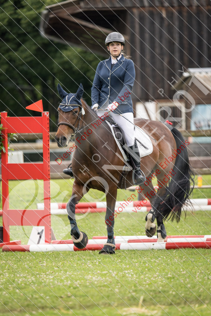 IMG_2647 | Sport-, Event- und Tierfotos in Profiqualität. Einfach auswählen, bestellen und herunterladen. Dein Moment – perfekt festgehalten.