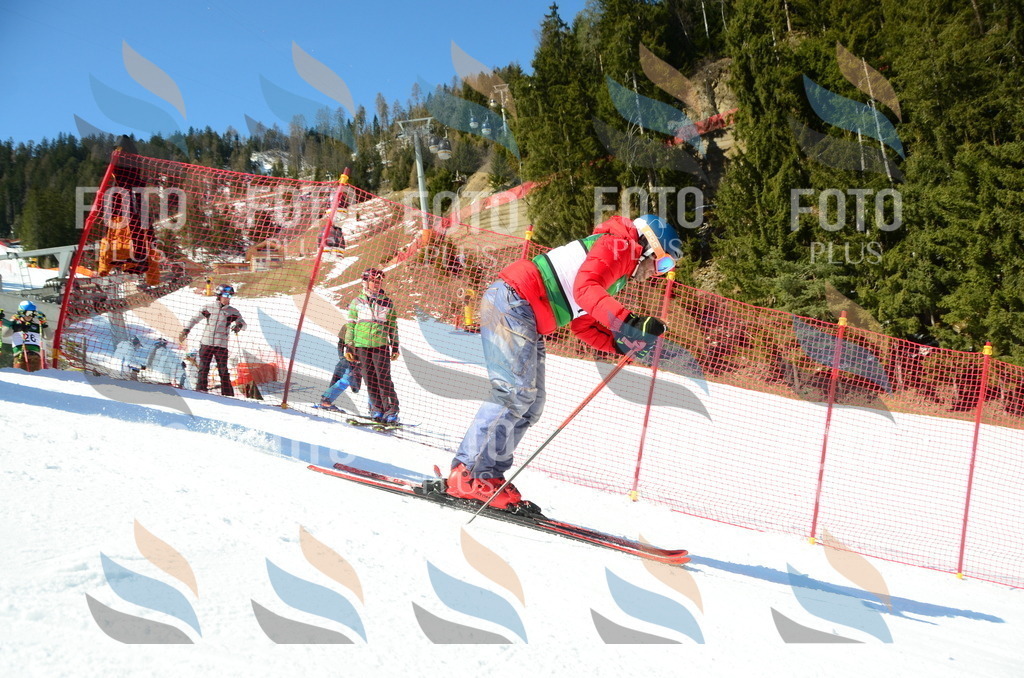 C6817 | holidayphoto