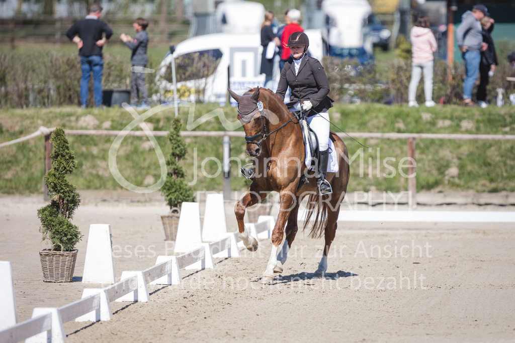 220418_L-Dressur-226 | Frühlingsfest der Pferde
Herford
18.April 2022
Dressurprfg. Kl.L* - Tr. L2ausw. geschlossen
