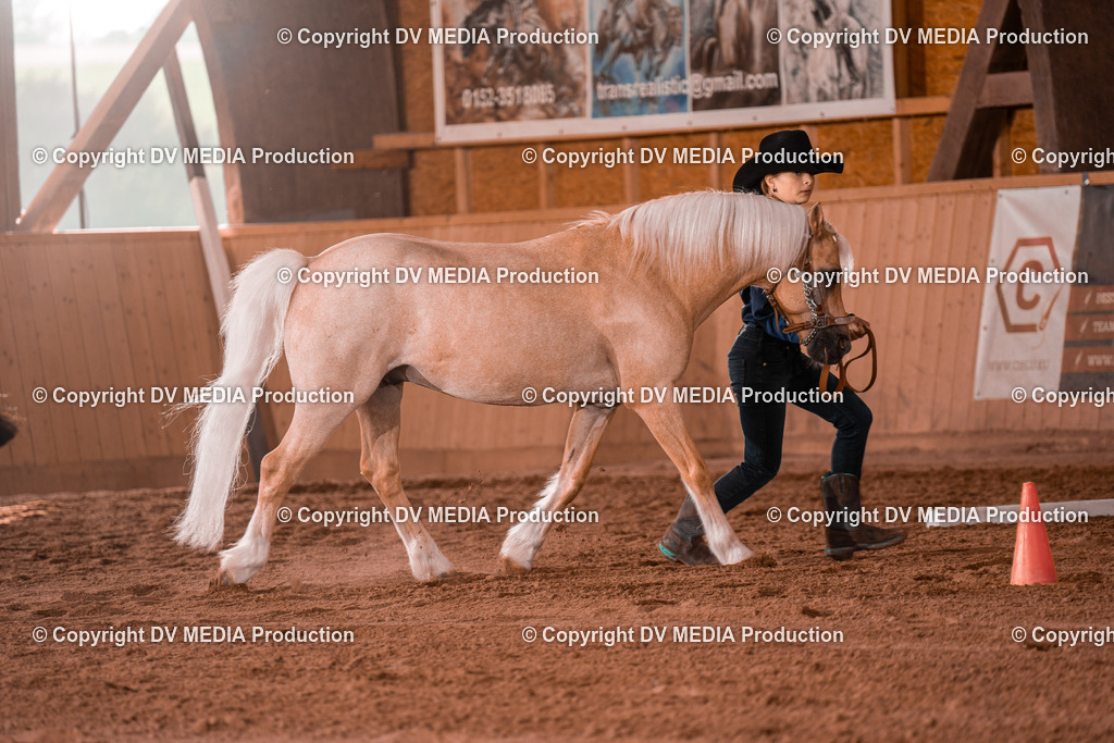 NE201525 | dv-media-shop - Realisiert mit Pictrs.com