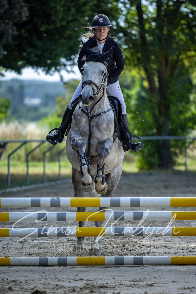20260704-_3LI7106 | Tierfotografie Pferde, Hunde, Katzen, Haustiere.
Turnierfotografie Reitturniere, Reiten, Springreiten, Dressur in Hanau, dem Main-Kinzig-Kreis und dem Rhein-Main- Gebiet um Frankfurt