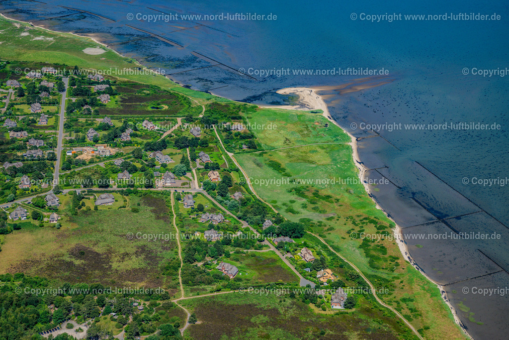 Sylt_Kampen_Wattseite_ELS_6308210625 | KAMPEN (SYLT) 21.06.2025 Heidelandschaft an der Wattenmeerseite in Kampen (Sylt) im Bundesland Schleswig-Holstein, Deutschland. // Heathland on the Wadden Sea side in Kampen (Sylt) in the federal state of Schleswig-Holstein, Germany. Foto: Martin Elsen