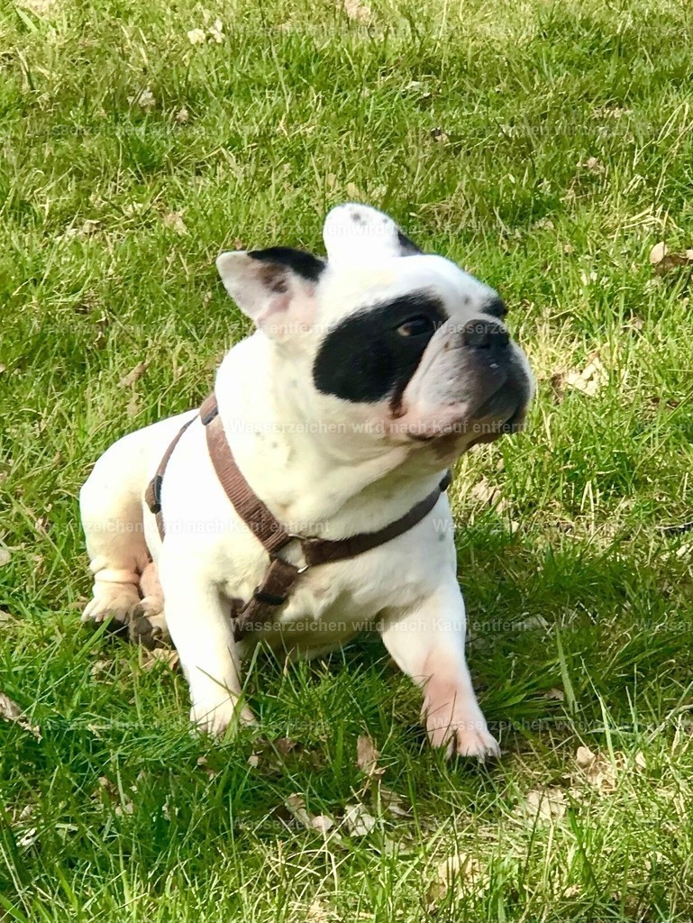 IMG_8887 | heikomoeller - Realisiert mit Pictrs.com