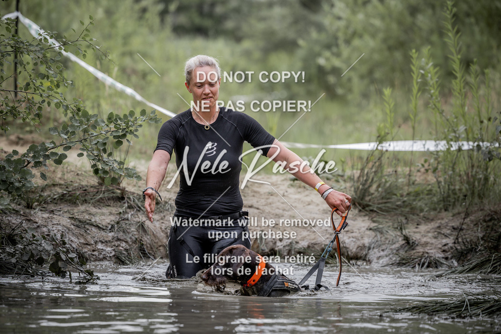 nelerasche_so0800-0930_340 | nelerasche