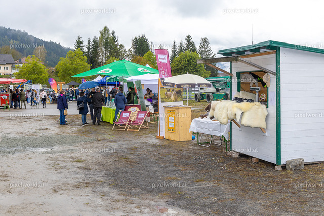 SchaZie-Tag Feldkirchen | Bildershop von pixelworld.at - Realisiert mit Pictrs.com