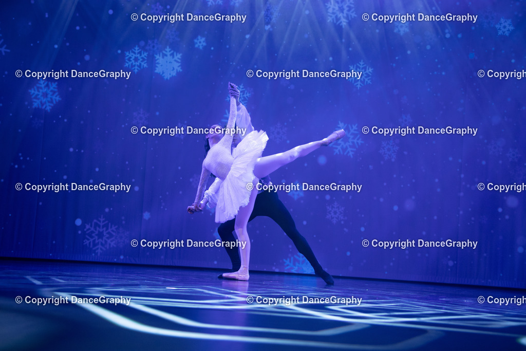 GPHY3477 | DanceGraphy - Realisiert mit Pictrs.com