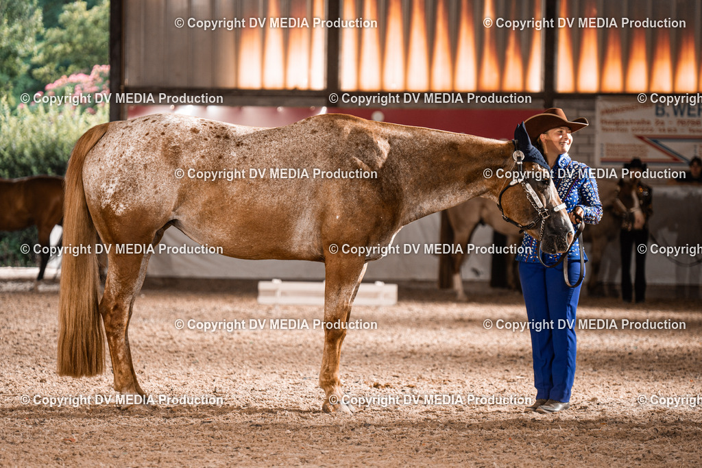 ZH200244 | dv-media-shop - Realisiert mit Pictrs.com