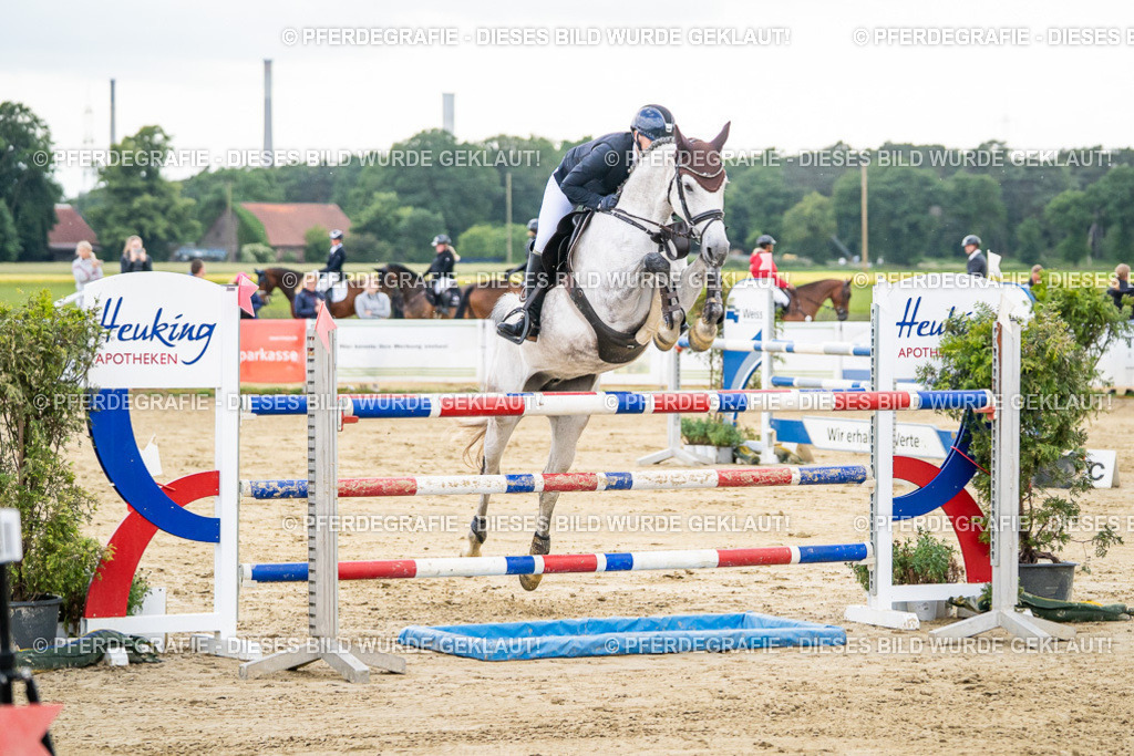 DSC06521 | Pferdegrafie