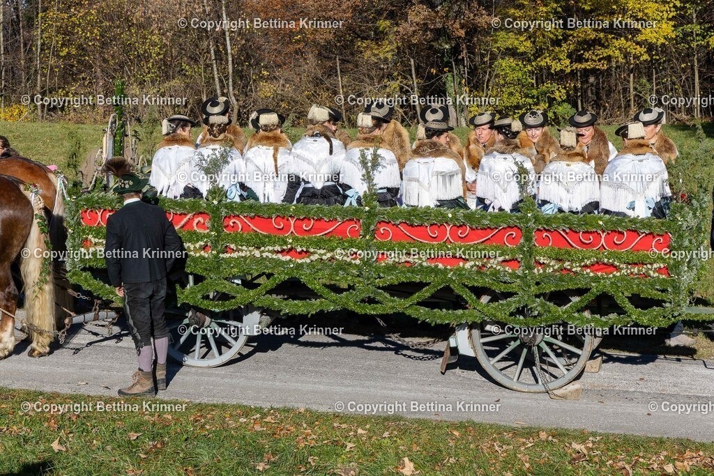 LBT25-259 | foto-bettina-krinner - Realisiert mit Pictrs.com