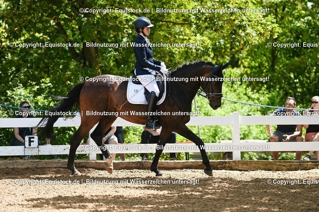 20230716_03_Dressurprfg. Kl.L - Tr._0002 | equistock