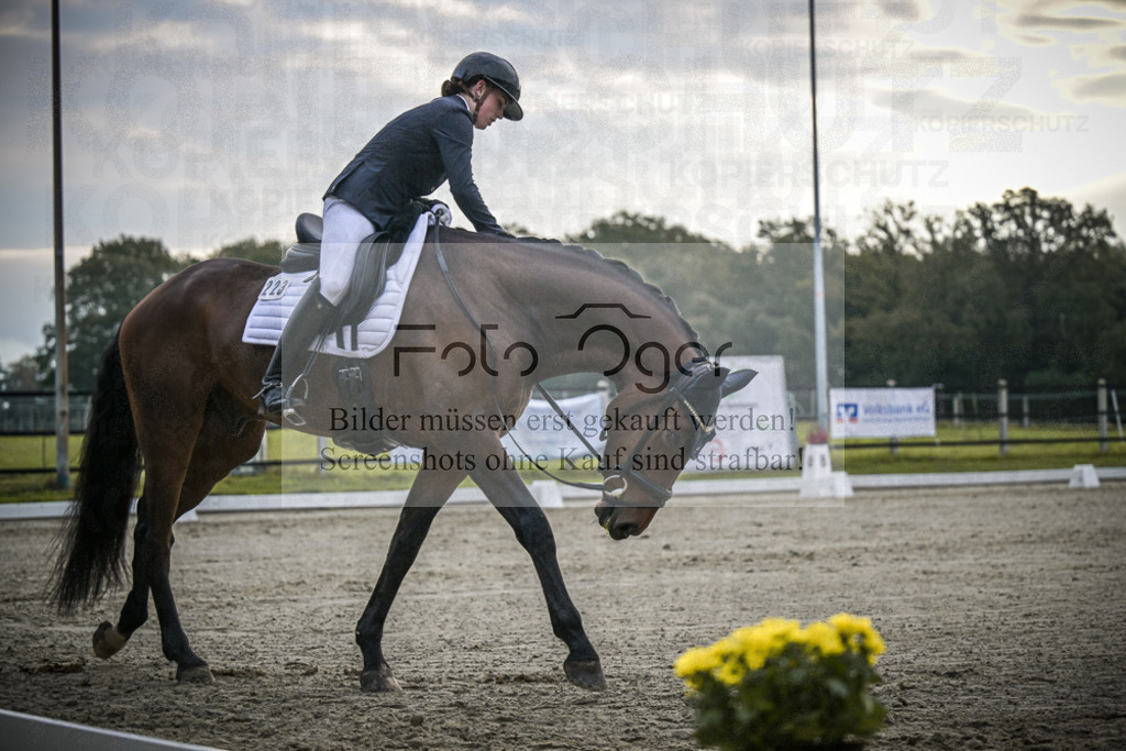 DOS_1685 | Entdecke hochwertige Reitturnierfotos von Foto Oger. Professionell, emotional und authentisch – jetzt Lieblingsmomente im Shop bestellen. - Realisiert mit Pictrs.com