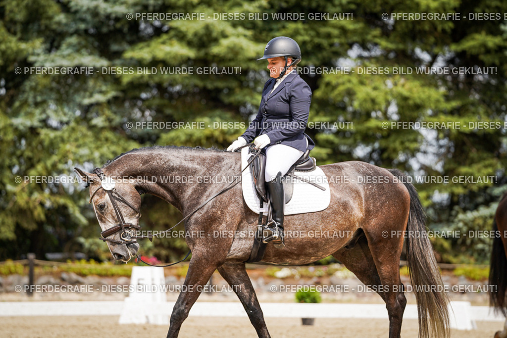 DSC03486 | Pferdegrafie