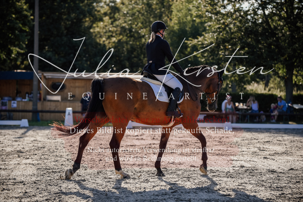 DSC_0683 | Pferde- und Turnierfotografie in Westsachsen. Pferdeportraits, Auftragszeichnungen und intuitive Kunst.