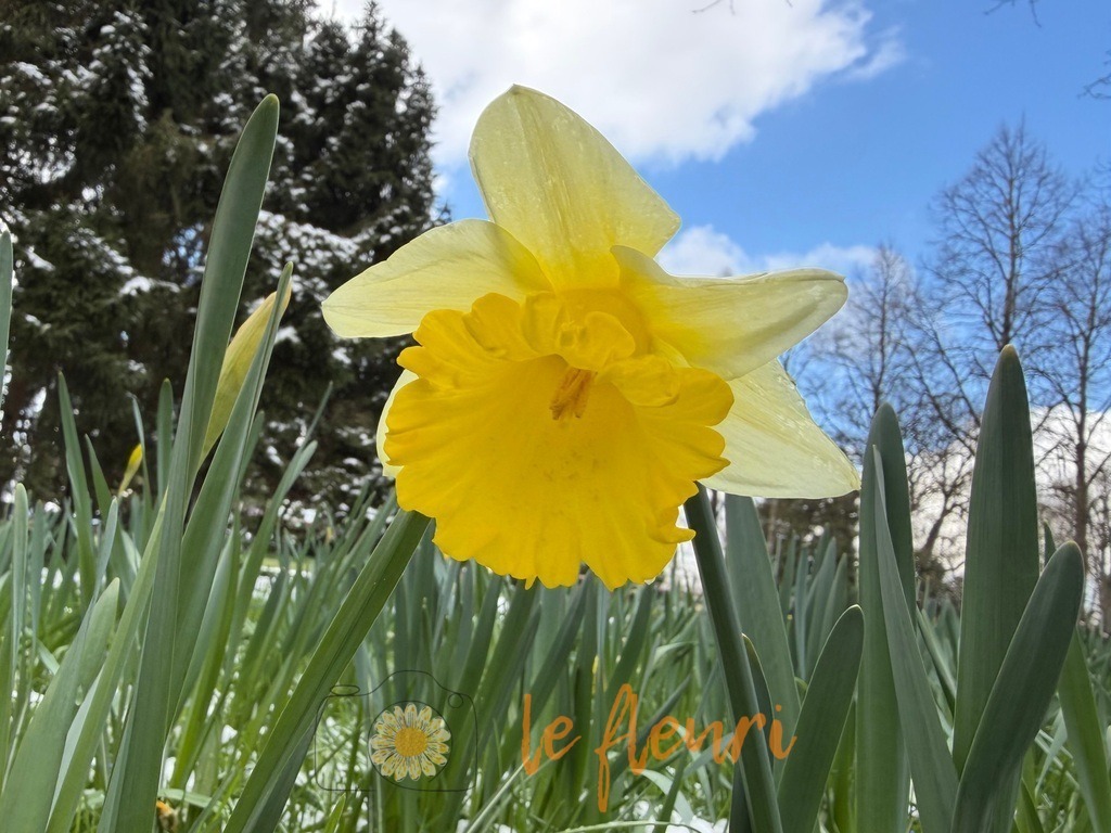 IMG_2892 | Dies ist der Shop von Florian Blum - le fleuri. Langenthal, Bern, Schweiz. Sie können hier meine oder ihre eigenen Fotos als Fotoprodukte kaufen. Tassen, Schlüsselanhänger, Taschen etc. können Sie hier gestalten.  - Realisiert mit Pictrs.com