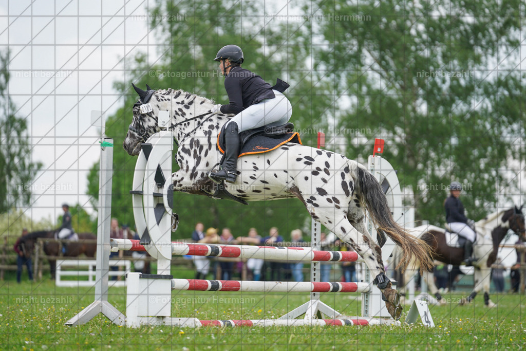 20240509-FAH02515 | Turnierbilder der Turnierfotografen Bayern, Pferdesport Fotografie, Reitsportbilder, Turnier Landberg am Lech, Turnierbilder bayern, Fotoagentur Herrmann