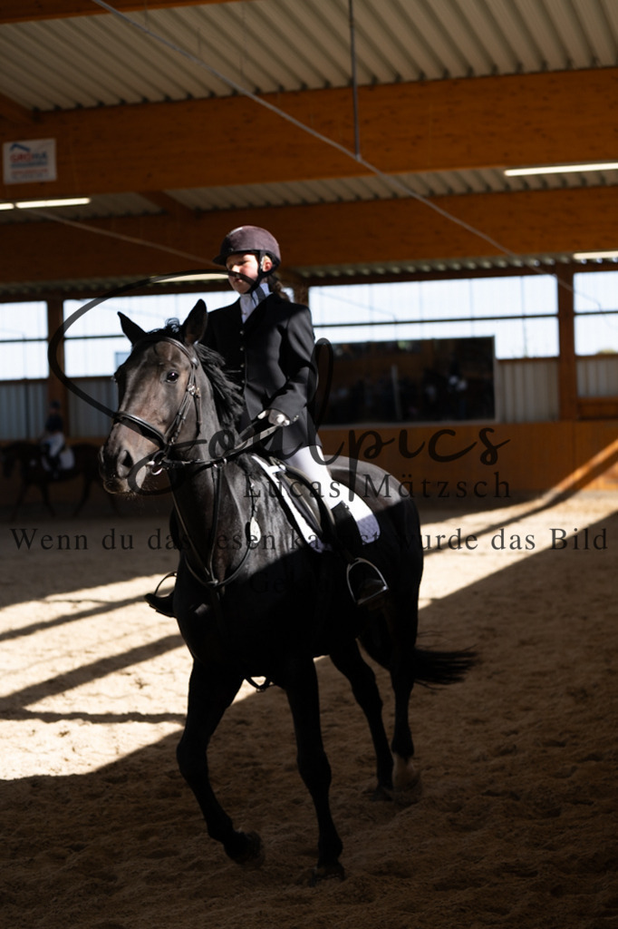 A7V02192 | Turnier/Reitfotograf