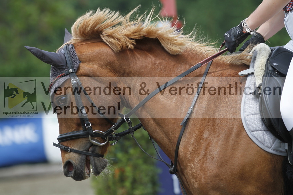 _MG_5252 | equestrian-live-com