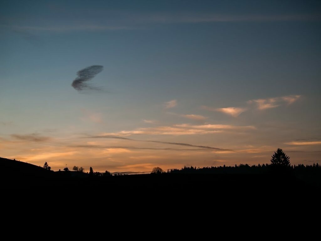 PSX_20221127_225423 | mtkfoto_ - Realisiert mit Pictrs.com