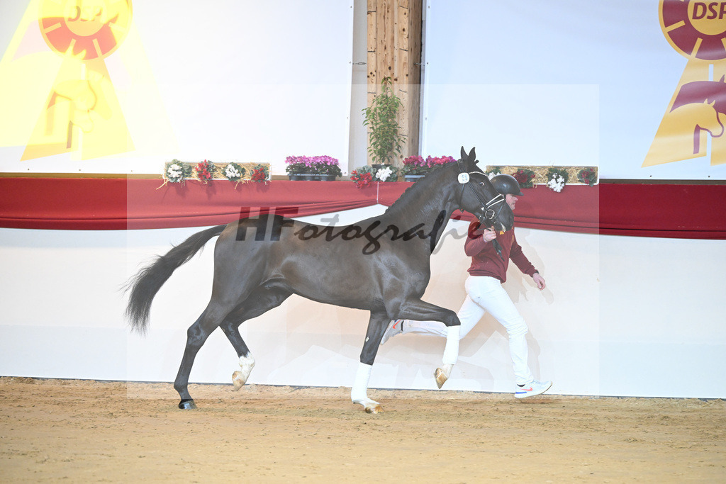 Kat-Nr. 69 Sezuan_Klausing GbR_1231375 | hf-fotografie - Realisiert mit Pictrs.com