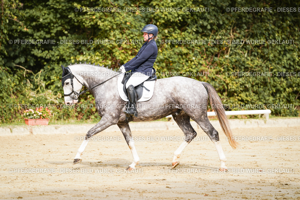 DSC01664 | Pferdegrafie