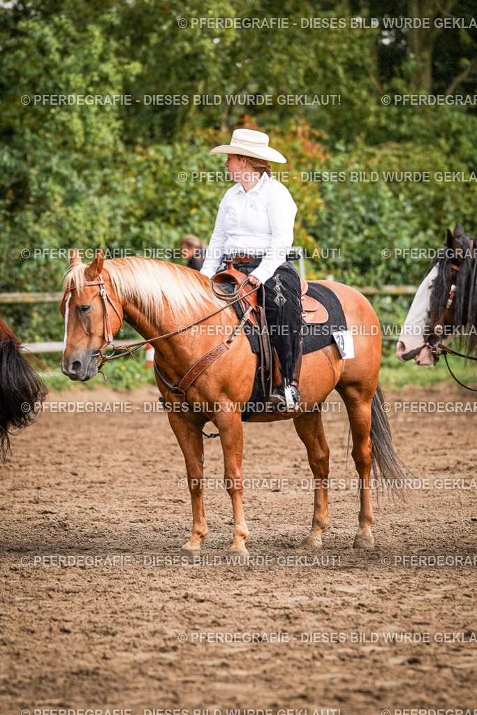 DSC09243 | Pferdegrafie