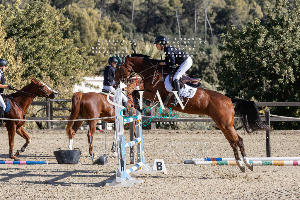 IMG_0042 | s-jay-photography - Realisiert mit Pictrs.com