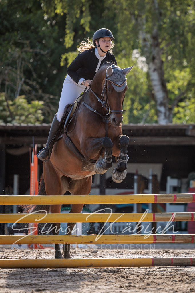 20260529-_3LI0381 | Tierfotografie Pferde, Hunde, Katzen, Haustiere.
Turnierfotografie Reitturniere, Reiten, Springreiten, Dressur in Hanau, dem Main-Kinzig-Kreis und dem Rhein-Main- Gebiet um Frankfurt