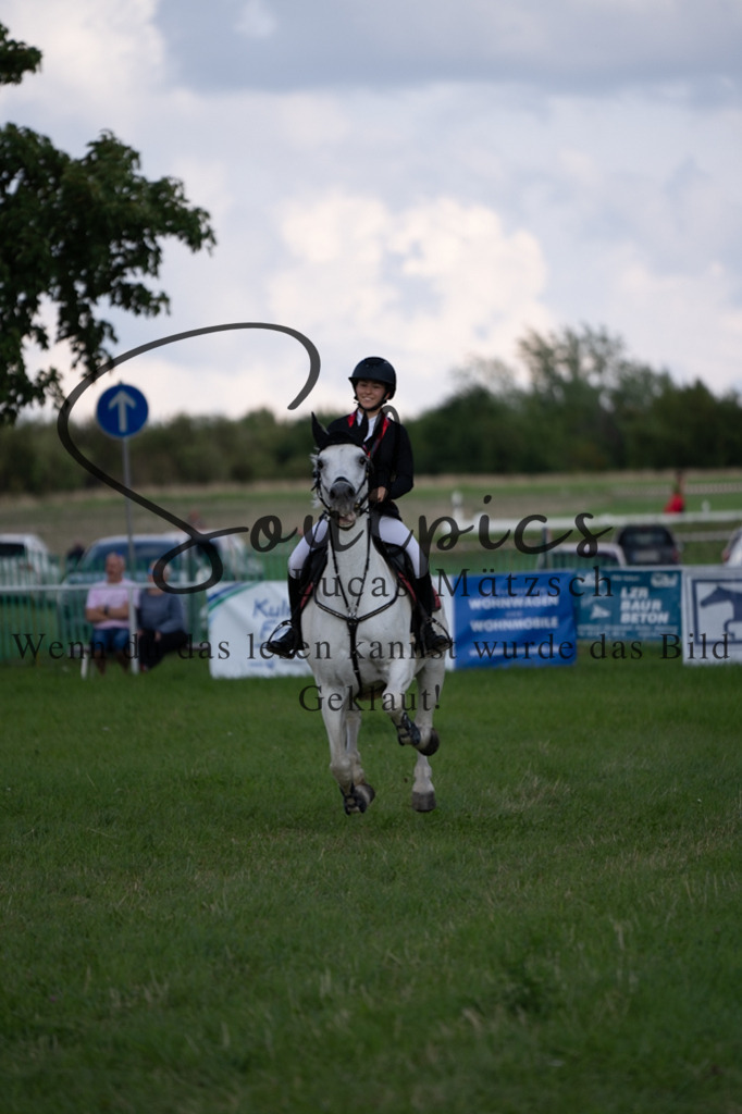 A7V03642 | Pferdefotograf