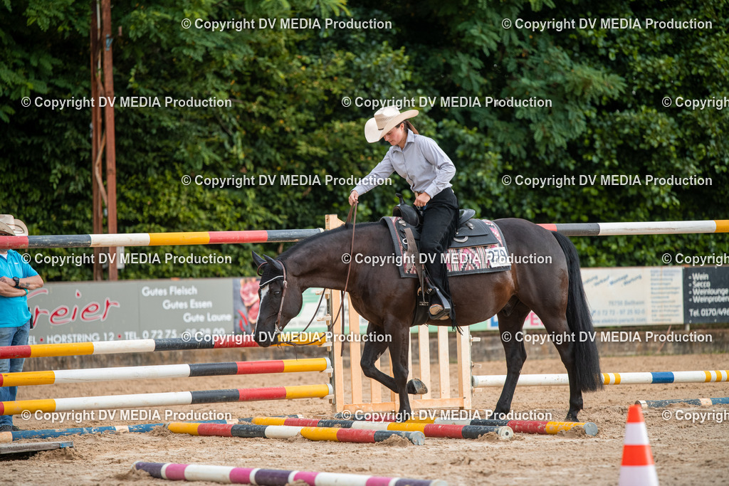 ZS2_7400 | dv-media-shop - Realisiert mit Pictrs.com