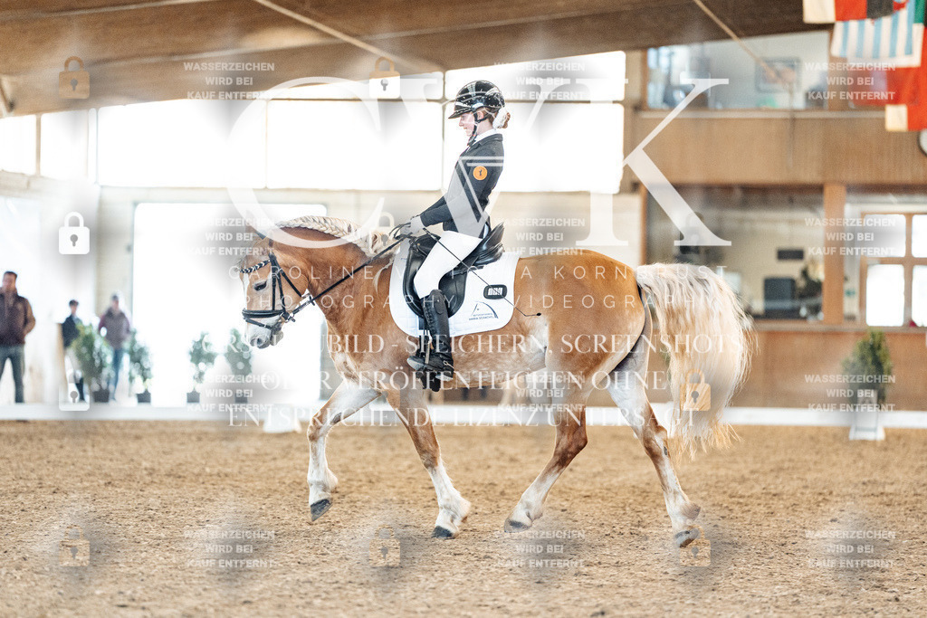 CK907429 | Turnierfotografie Pferdefotografie Trier Rheinland-Pfalz Pferdesport Reitsport Tierfotografie Sportfotografie Pferdevideo Pferdevideografie Equestrianvideography equestrianphotography  - Realisiert mit Pictrs.com