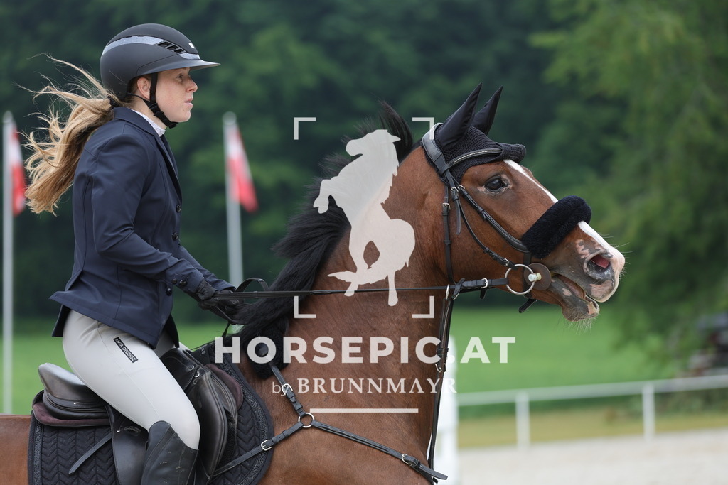 0P6A0417 | Willkommen bei Brunnmayr - Design & Fotografie – Ihrem Spezialisten für Reitturniere und Pferdeveranstaltungen in Oberösterreich, Salzburg und Bayern! Seit über 17 Jahren sind wir leidenschaftlich dabei.