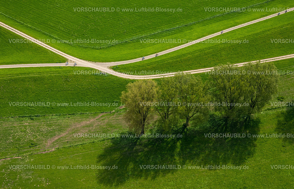 Wesel240402164BislicherInsel-Wesel-2 | Luftbild, NSG Naturschutzgebiet Bislicher Insel Auenlandschaft, Radfahrer und Wegkreuzung an grünen Wiesen mit Bäumen, Eyländer Weg, Formen und Farben, Werrich, Wesel, Niederrhein, Nordrhein-Westfalen, Deutschland