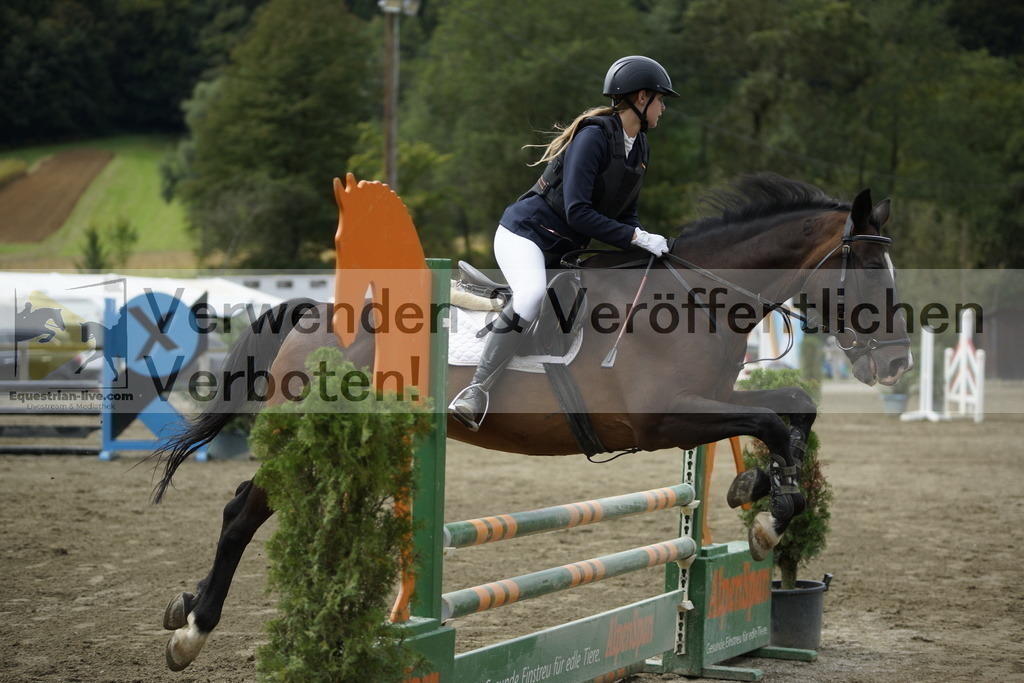 _DSC5211 | equestrian-live-com