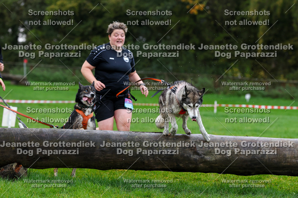 Dog Paparazzi -  SD1026-1382 | Dog Paparazzi Jeanette Grottendiek Fotografie & Videografie - Realisiert mit Pictrs.com